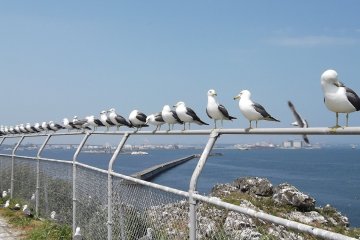 Queued and waiting for clearance to take off