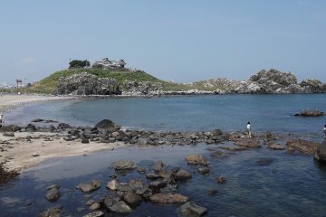 A long shot of the island shows quite how many gulls there are