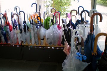 Umbrellas at the entrance