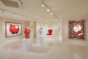 Sneak peak of gallery