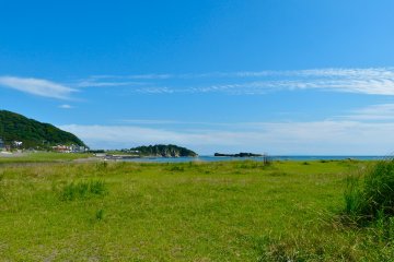 Beautiful lawn area near the beach