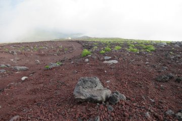 Slippery descent