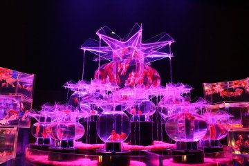 The 2019 Art Aquarium Exhibition in Tokyo