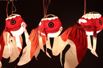 A closer view of the lantern fish