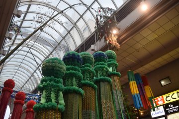 The traditional Tanabata bamboo with special ornaments