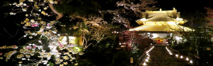 Spring illuminations at Kanga-an
