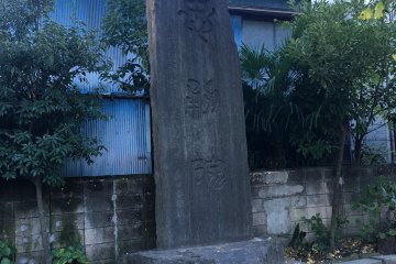 Engraved natural stone