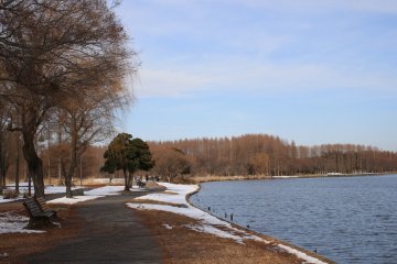 A touch of winter