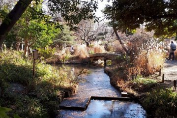 Pond and bridge at Mukojima-Hyakkaen during winter