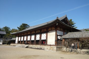 Daikodo