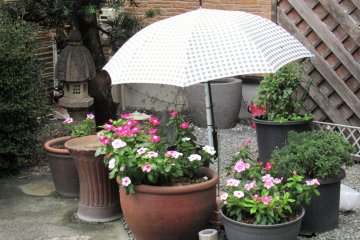 A cute flower corner
