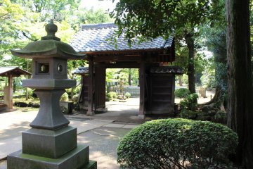 The gates and the garden