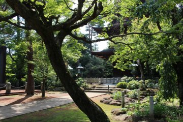 Gotokuji temple occupies a large swathe of territory with many trees