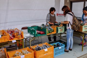 Local farmers got the chance to sell their fresh produce which is always popular at summer festivals