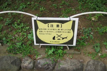 A sign advising against feeding the resident cats in Nishi-Nippori Park