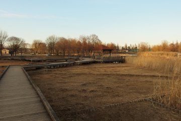 Toneri Park during winter
