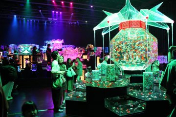 My Week-Long Summer Trip to Japan