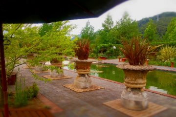 Patio and Reflecting Pool