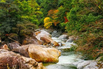 Autumn colors in the Houri River Valley