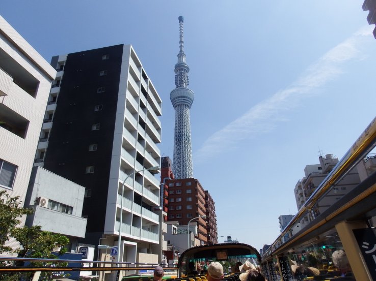 Get close to the big sights to see!