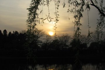 Beautiful landscape in Nara