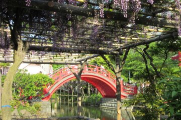 Kameido jinja - classical view with bridge and fuji