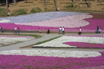 Hitsujiyama Park in spring