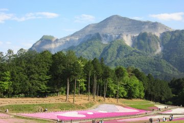 Hitsujiyama means 'sheep mountain'