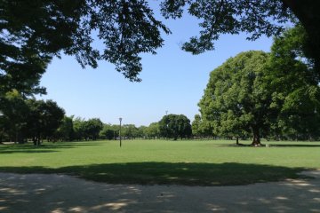 The park along the parking lot is evidence to why Kumamoto is also known as the City of Trees. What is now a park was once the inside of the castle's several layers of outer walls.