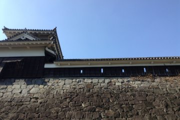 If you look closely you can see gunports along the walls. The tower has a larger window where archers stood, as well as a bottom trap door to keep a look out and drop rocks on intruders.