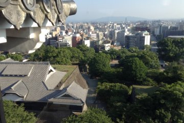 A view from the top tower shows that Kumamoto is a city full of modern buildings mixed with nature's green stuff.