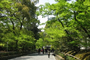 Approaching Kinkakuji temple