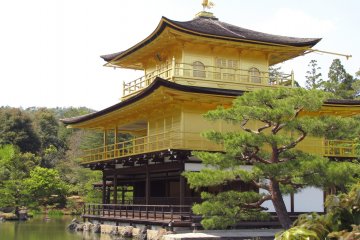 A closer view