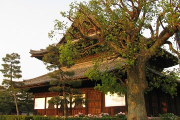 Beautiful temple in Gion