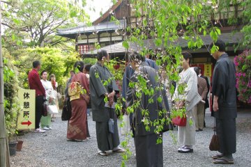 Men in kimono at the Miyako Odori show