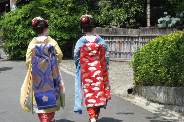 Real maiko are very graceful!