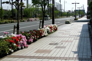 Clean and wide streets