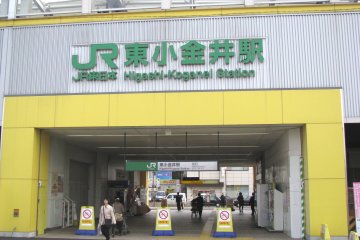 My Stay in Higashi-Koganei