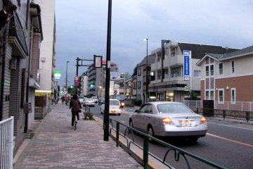 On the way to Koganei Park