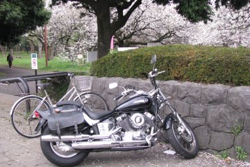 Bikes are not allowed in Koganei Park