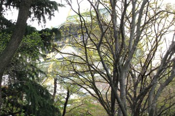 Osaka Castle is surrounded by trees