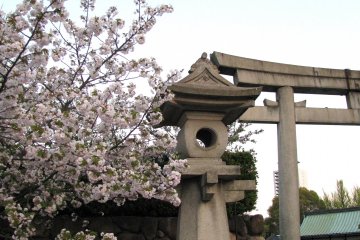 Hokoku Jinja in the twilight 