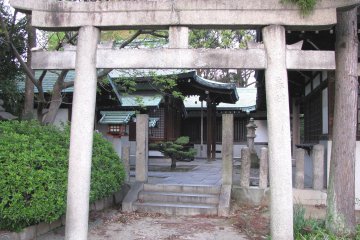 Torii gates leading into Hokoku Jinja