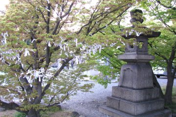 At Hokoku Jinja  