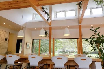 The interior is light and filled with greenery