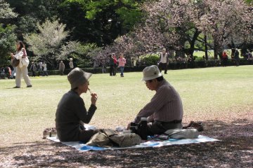 Enjoying hanami together