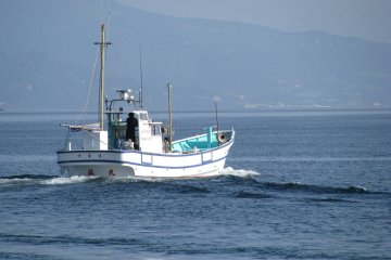 Lots of ships deliver fresh fish to the restaurants of Japan