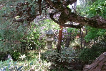 Nice gardens can be found anywhere in Japan