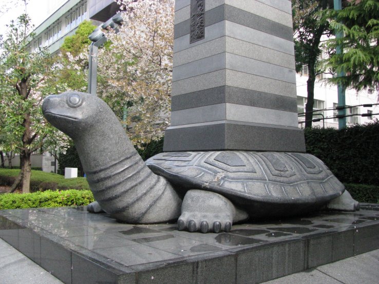 The turtle - a symbol of immortality and power
