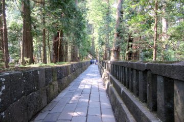 A long approach  